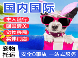 武夷山机场物流国际宠物托运 【国